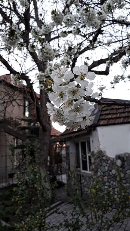 Southside Bed And Breakfast Bishkek Exterior foto